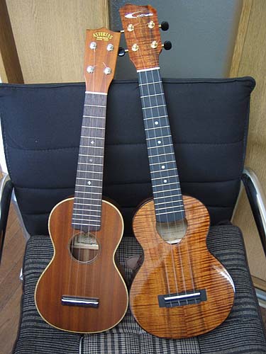 Oihata ukulele(14)到着: ウクレレレdeいきましょぃ